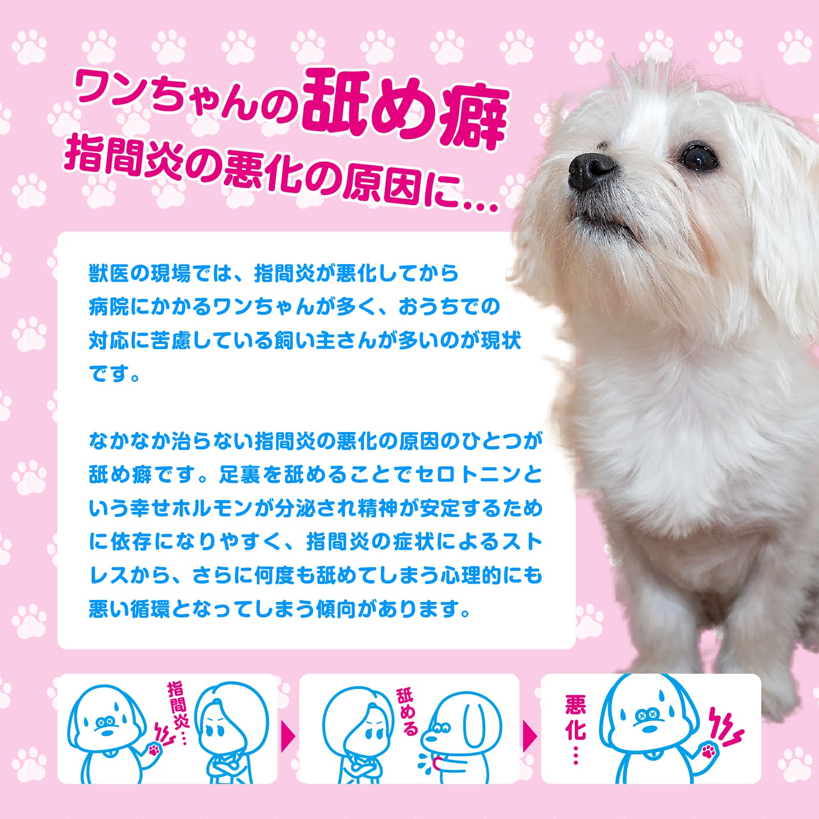 PAW FOAM