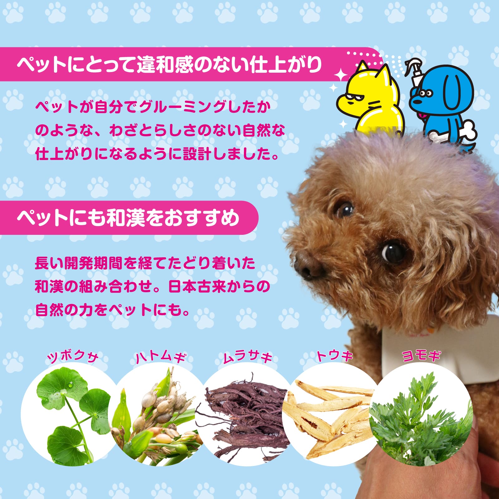 SPRAY TREATMENT